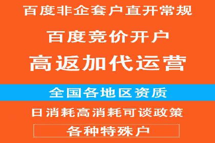 行业领先企业的SEM广告投放策略案例
